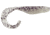 Bass Assassin Walleye Assassin Curly Shad, 4in, 10 per Pack, Salt &amp; Pepper Silver Phantom, 4, WC33336