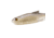 Bass Mafia Daingerous Swimbait, Blackback Shad, 6in, BMD-6-BBS