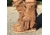 Battling Blades Western Fringe Mid Calf - Boots, 7500033884332