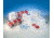BD Anaerobic Systems, BD Diagnostics 260610 Bd Gaspak 150 System And Components Bd Gaspak 150 Lid Assembly
