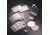BD BioCoat Cellware, Collagen Type IV, BD Biosciences 354430 Multiwell Plates 24-Well