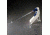 BD Falcon Express Pipet-Aid Pipetting Device, BD Biosciences 357592 Replacement Parts Detachable Stand