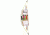Bear Archery 1st Shot Bow Set, Neon Green 8-12lbs. RH/LH AYS6200GR