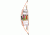 Bear Archery 1st Shot Bow Set, Neon Orange 8-12lbs. RH/LH AYS6200TR