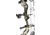 Bear Archery Legit MAXX+ RTH Bow Package 1503190