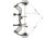Bear Archery Legit MAXX RTH Bow Package 1503218