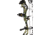 Bear Archery Legit MAXX RTH Bow Package 1503219