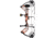 Bear Archery Legit MAXX RTH Bow Package 1503223
