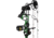 Bear Archery Royale RTH Bow Package