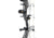 Bear Archery The Hunting Public Adapt 2 RTH Package BEA2224