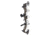 Bear Archery The Hunting Public Adapt 2+ RTH Package BEA2231