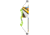 Bear Archery Bear Archery Valiant Youth 4 to 7 Years Bow Set RH - Flo Green, AYS6201GR