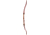 Bear Archery Bullseye X, White, LH 26 A6BEX6229R
