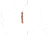 Bear Archery Bullseye X, White, RH 15, A5BEX4815R
