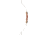 Bear Archery Bullseye X, White, RH 15, A5BEX4815R