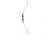Bear Archery Fred Super Grizzly Recurve