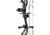 Bear Archery Legit MAXX RTH Bow Package 1502473