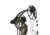 Bear Archery Legit RTH Extra, Fred Bear, RH 70, AV15A2X0F7R