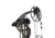 Bear Archery Legit RTH Extra, True Timber Strata, RH 70, AV15A2X0A7R