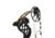 Bear Archery Legit RTH, Throwback Black, RH70, AV13A211F7R