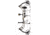 Bear Archery Paradigm RTH Package