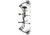 Bear Archery Paradigm RTH Package BEA2182
