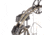 Bear Archery Paradox RTH, True Timber Strata, RH70, AV04A110A7R