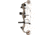 Bear Archery Prowess Compound Bow, Ready to Hunt Package, 290 FPS, Right Handed, 50 lb Draw, Kryptek Highlander, AV84B11025L