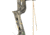 Bear Archery Resurgence LD, Realtree Edge, RH60, AV23A10006R