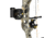 Bear Archery Species EV RTH, Realtree Edge, LH60, AV24A10006L
