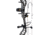 Bear Archery Species XT RTH Bow Package 1502520