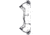 Bear Archery Surpass Bow BEA2127
