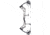 Bear Archery Surpass Bow BEA2128