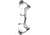 Bear Archery Surpass Bow BEA2128