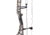 Bear Archery Surpass Compound Bow, 60 lbs, Right Hand, DNA/Black, AV46A50016R