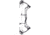 Bear Archery Surpass Bow BEA2136