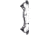 Bear Archery Surpass Bow BEA2136