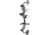 Bear Archery The Hunting Public Adapt 2 RTH Package BEA2218