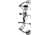 Bear Archery The Hunting Public Adapt RTH Package BEA2091