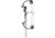 Bear Archery Warrior Youth Compound Bow w/ Biscuit Arrow Rest / Right Handed, Camo, AYS400CR