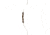 Bear Archery Wolverine, Black, RH 40 ARB16240R