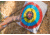 Bear Archery Youth Safetyglass Arrows 28 3pk