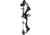 Bear Archery Shootout RTH Compound Bow Package, Right Hand, 50lb, 28in, Black, AV62A210G5R