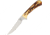 Bear &amp; Son Cutlery Bird &amp; Trout Fixed Blade Knife, 2.75in, Stainless Steel, Standard Edge BCSD51