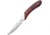 Bear &amp; Son Cutlery Rosewood Caper Fixed Blade Knife, 2.5in, 440 Stainless Steel, Clip Point, Satin, Rosewood Handle BC2009R