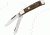 Bear &amp; Son Mini Trapper Fold Knife, SS clip and spey Blades, Heritage Walnut handl BCC25412