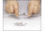 Bel-Art 3MM STAT-O-LOK Disconnect Male F19723-0202