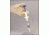 Bel-Art Varipet Luer Lock 1.0ML F37895-1010