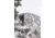 Berger Classic Hybrid Hunter .270 Caliber 130 Grain Classic Reloading Rifle Bullets, 100 Bullet, 27570