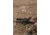Berger Hybrid Tactical .338 Lapua Magnum 300 grain Hybrid Tactical Open Tip Match Brass Cased Centerfire Rifle Ammo, 20 Rounds, 81110